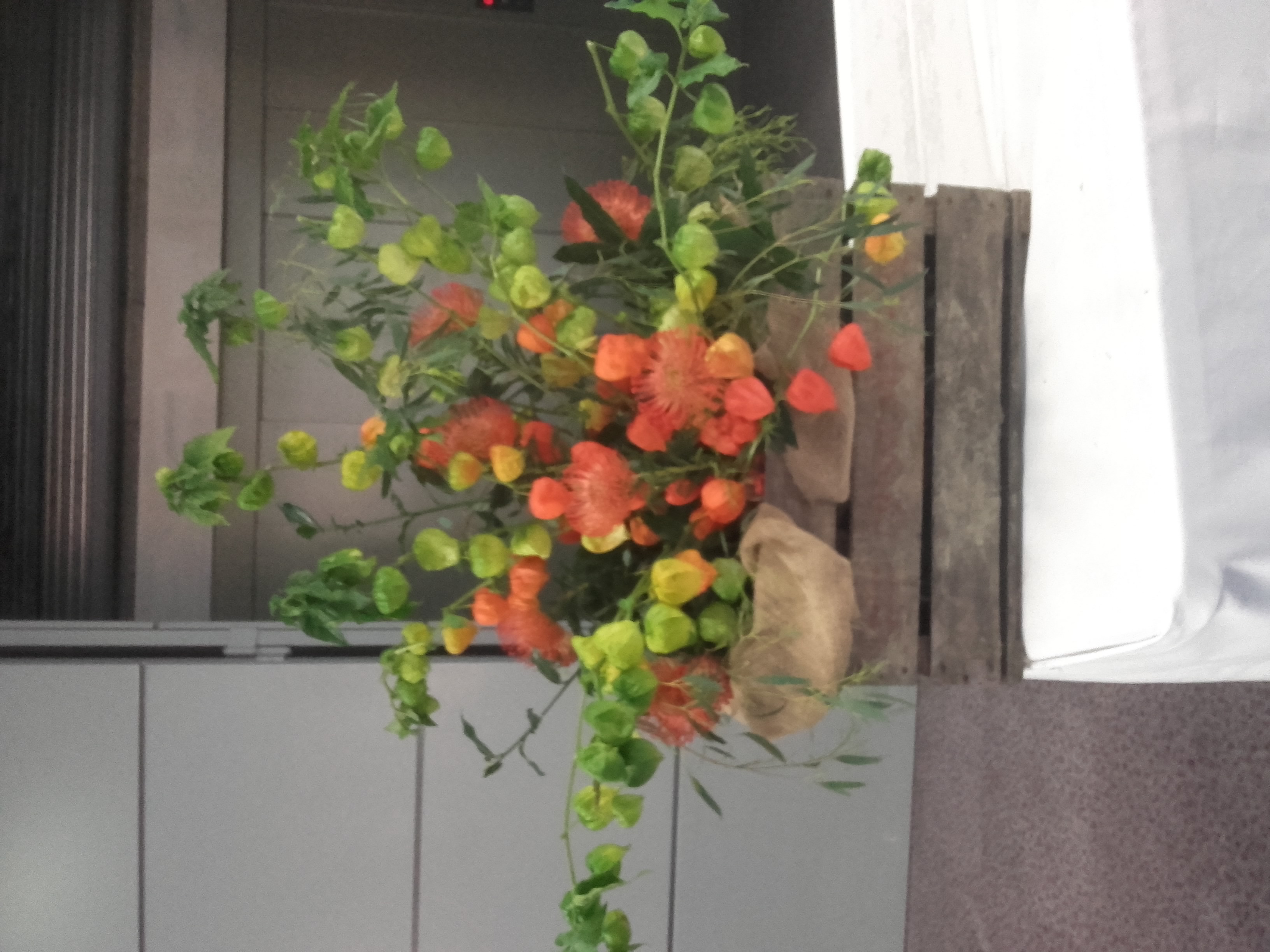 20170924_172819