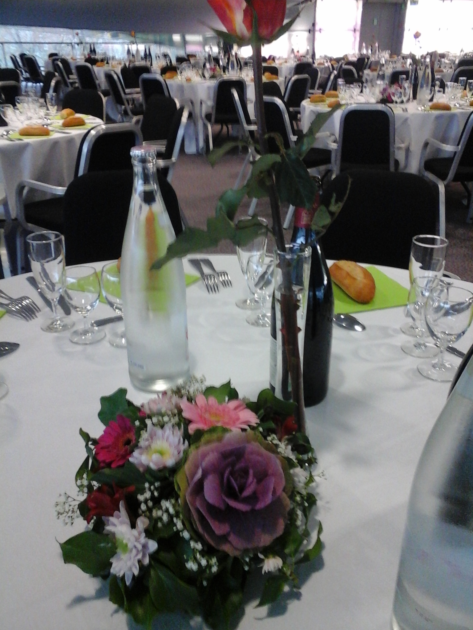 Reception Edf (vinci 2014 Hardouin) (3)