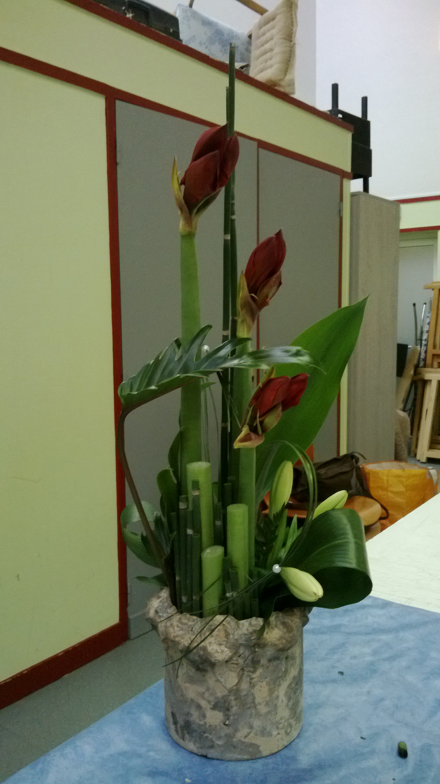 WP_20140111_009