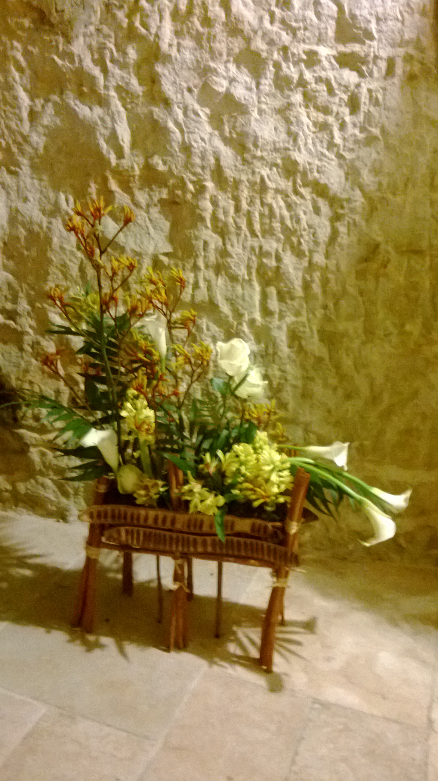 WP_20140313_032